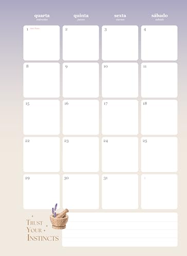 Jandaia - Agenda Planner Universitário Capa Dura 192 Páginas Mystic 2025 Fases Lua