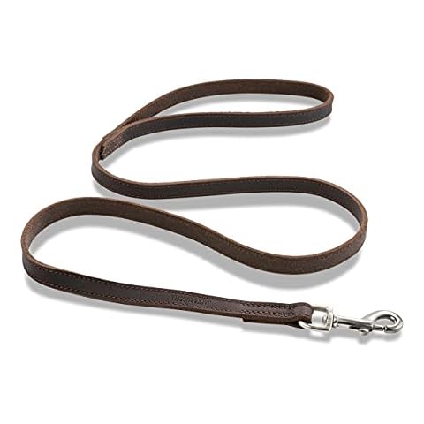Shorty Laisse en Cuir Jack & Russell Cover