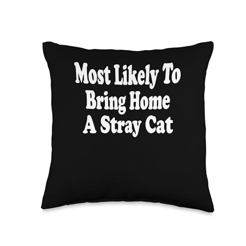 Most Likely To Bring Home A Stray Cat Adoption Kitty