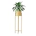 XYJNN Etagere Plantes-Cache Pot sur Pied Salon De Style Nordique Support De Fleur en Fer Forgé Balcon Support De Pot De Radis Vert Vertical (Color : Gold, Size : 80x25cm)