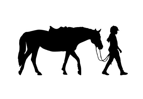 Vinilo decorativo de caballo para pared 16x36 in
