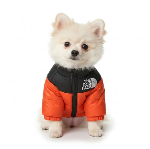 Giacca invernale per cani, giacca antivento con cerniera, gilet termico nero, viola e arancione, taglia S-XL per animali domestici piccoli e medi (arancione)