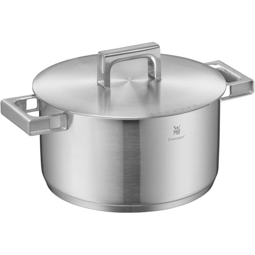 WMF Ultimate Cool   Olla de 24 cm Con Tapa, Cacerola Pequeña de 6,5 L de Acero Inoxidable Cromargan Mate Apto para Inducción, Sin Revestimiento, Apta para Lavavajillas