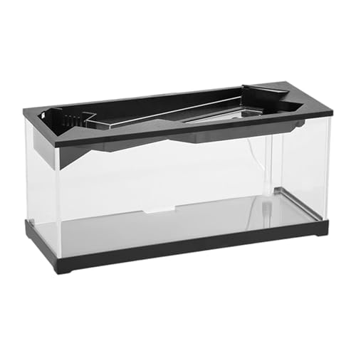 fXNgbvz^Ng[pbhLED|v`o[̐nÂȑ쐶nANىMpbh