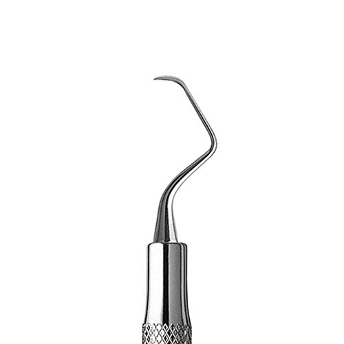 Gracey Curette #9/10