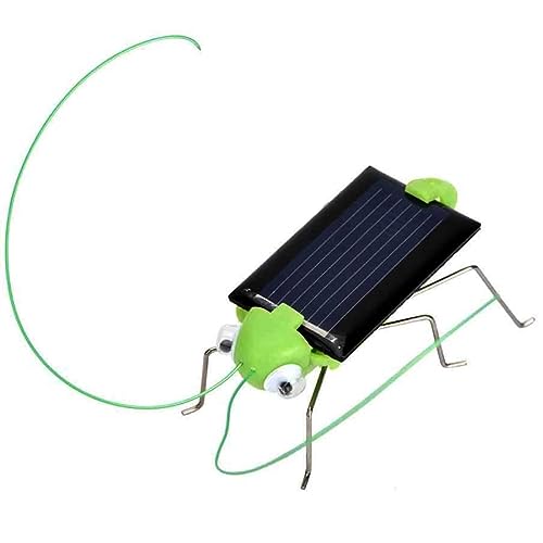 Barata/Gafanhoto/Inseto Movido a Energia Solar - Brinquedo educativo