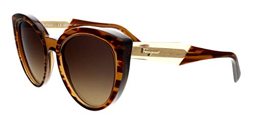 Ferragamo Salvatore Striped Transparent Brown Plastic Frame Brown Lens Unisex Sunglasses SF891S296357055319