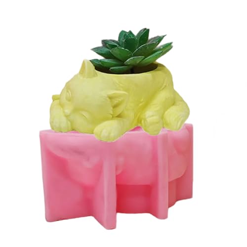 X[vLbgt[|bgVR[hyz_[킢AASyRN[gAAX[vLbgt[|bgVR