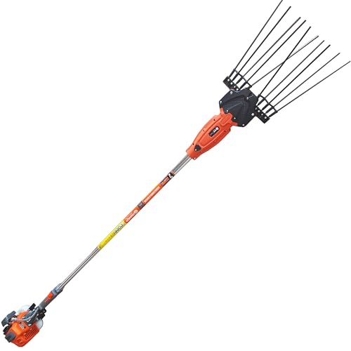 VAREADOR Aceitunas Gasolina Motor Daewoo de Alto Rendimiento. Cabezal Profesional Fabricado en Italia + Acople desbrozadora Completo de Regalo