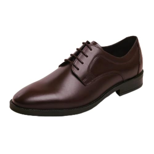 [JOLLY SMITH LONDON] �r�W�l�X�V���[�Y �v�C �����Y �{�v �a�m�C ���L �O�H���� JS3102 (�_�[�N�u���E��, 26.0 cm)