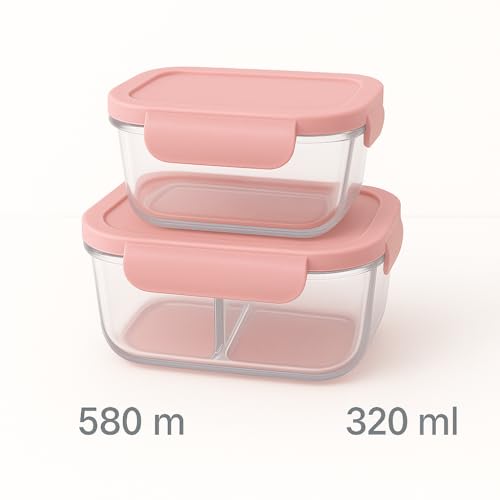 Image of Borosilicate Lunch Box Set of Airtight & Leak-Proof Tiffin Box for Office, School, Men & Women (Light Blue Colour) (Pink, 580 ml 320 ml)