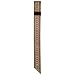 Mustang Fashion Print Snake Off-Billet Brown