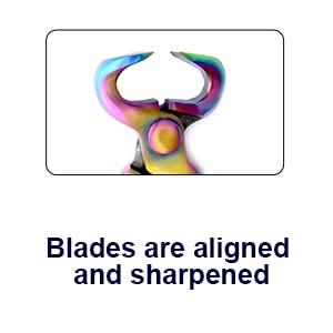 12-Inch Multi-Color Farrier Hoof Nippers with Pre-Loaded Spring: Essential for Hoof Trimming, Top Farrier Tools, and Quality Farrier Supplies - Image 6