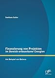 Finanzierung von Projekten im Bereich erneuerbarer Energien: am Beispiel von Belarus