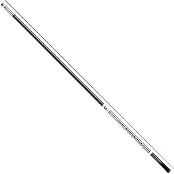 ダイワ 銀影競技スペシャルA XH90 替穂&スイッチパーツ & 新品元竿付き DAIWA（釣り） ダイワ 鮎竿 銀影競技 スペシャル A 90・W