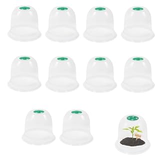 Lutateo cloches de jardin transparentes, lot de 10