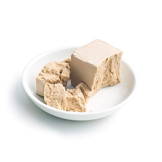 Fresh Bakers Yeast for Professional Use