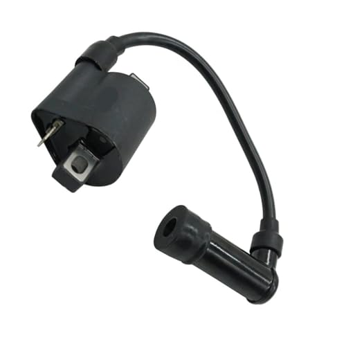 Bobina de encendido NC250 de alta potencia para motor Zongshen 250cc de 4 tiempos