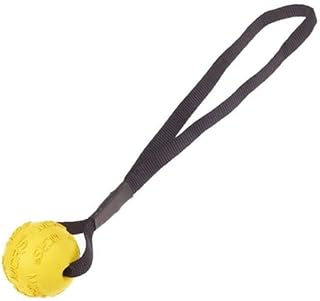 MCRS Magnetic Ball 2.5"