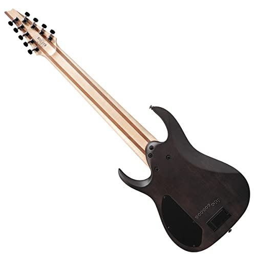 Ibanez Axe Design Lab Rg9Pb 9-String Electric Guitar - Transparent Gray Flat #TOP2