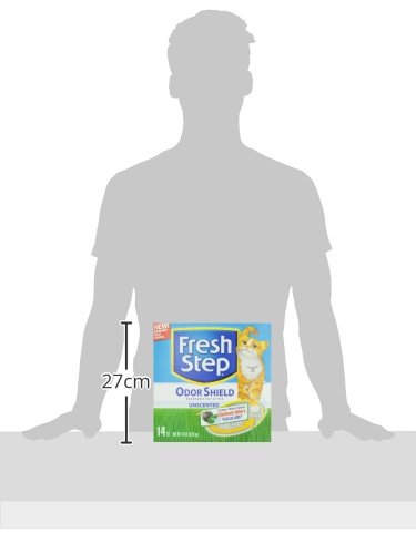 https://m.media-amazon.com/images/I/31elliWr-EL.jpg