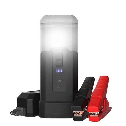 Type S Dynamic Flex DF20 500A Jump Starter & Work Lantern - Portable Car Battery Jump Starter & Charger with Intelli-Step LED Jump Guide, 360° Work Lantern & Flashlight, Power Bank, Dual-Color LED