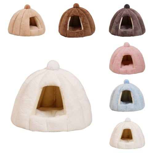 ZekonoLnEX ~p Lpxbh L h[^ xbh  p ybgpQ ۉh  _炩  ~ ^ Lbg lC p xe QNbVt (zCg,傫TCY 56CM×48CMia×j