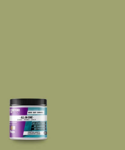 Beyond Paint All-in-One Refinishing Paint, No...