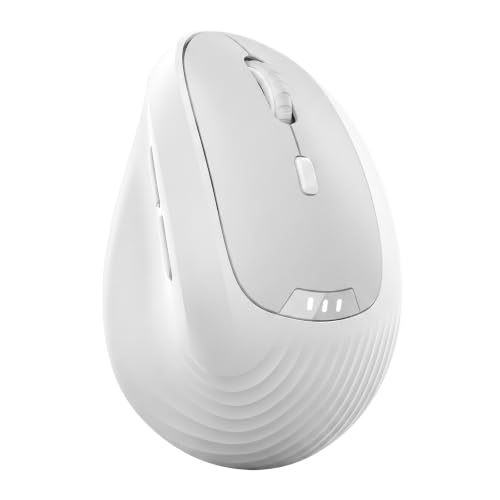 Image of Ergonomic Vertical Mouse with Silent Clicks, Bluetooth 5.2 /5.0 & 2.4G, Rechargeable Type-C Built-in Battery with Power Display, 6 Levels 8000 DPI Adjustable, Lightweight Mice for Laptop, Mac, Windows