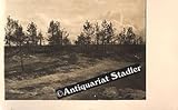 Rgts. Gefechtsstand bei Nauroy - Originalfotografie vom 1. Weltkrieg, Westfront, Postkartengröße.
