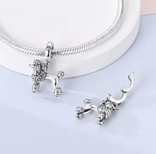 Abalorio caniche de plata de ley 925 compatible con pulsera Pandora 2