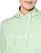 Columbia Women's Trek Graphic Hoodie, Sage Leaf/Scripted Brand, X-Large