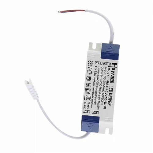Driver LED 30W 750mA transformateur AC85-265V pour éclairage stable - 2