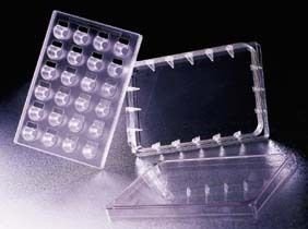 Becton Dickinson 351184 Sterile Transparent HTS Multiwell Insert Systems with Plate, 24 Well, 8 µm Pore Size
