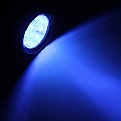 JacobsParts Lanterna UV preta, luz negra de inspeção portátil, 12 LEDs, 395 nm, mini lanterna para m