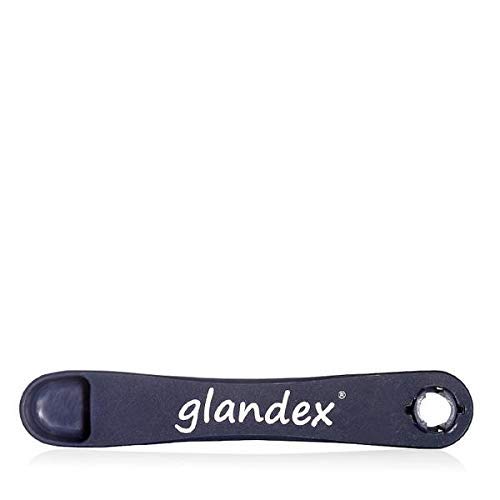 Glandex Vetnique Anal Gland Support Powder With Pumpkin For Dogs & Cats (4Oz Beef) & Measuring Scoop Bundle #TOP6