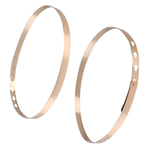 Women's Waistband Plate Waist Fashion Metal Belt Mirror Band, Gold, 76 x 2 cm4