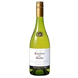 【 白ワイン 辛口 チリ産 】 Casillero del Diablo ( カッシェロ デル ディアブロ ) シャルドネ 750ml