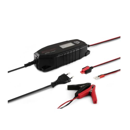 Carica Batteria 12/24V Batterie Piombo 12V Batterie Lifepo4 7,5A - Alpha Elettronica Kcp8000/U