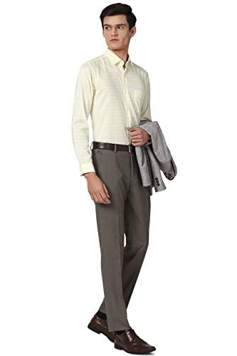 Image of Peter England Men Shirt