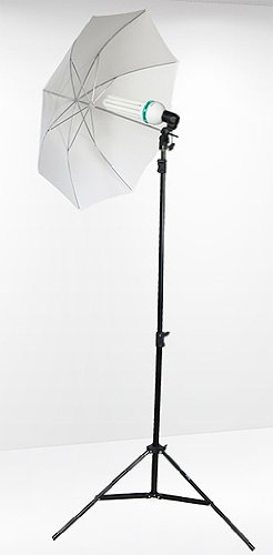 Fancierstudio Lighting Kit 800 Watt 3 X Muslin Backdrop 10'X10' Background Stand Light Kit By Fancierstudio Fkz02 #TOP1