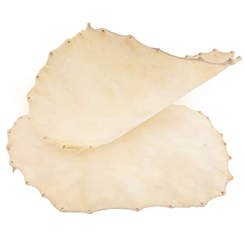 Holibanna 2pcs Durable Leather Drum Head Premium Replacement Percussion Accessories for African Drums Workmanship Performance