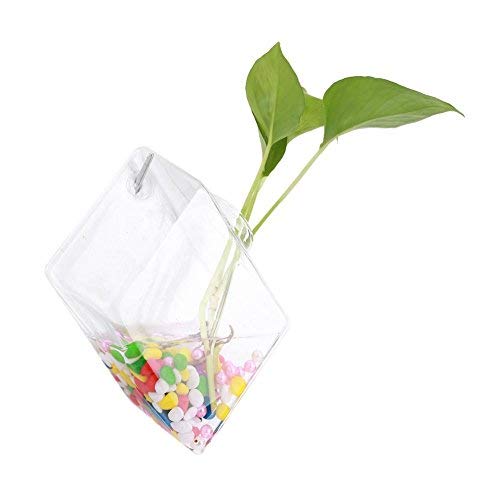 Planta Colgante de Pared Terrario de plantación de Agua Jarrón de Vidrio Jardinera Contenedores Macetas de Flores para la decoración del hogar Decoraciones de Pared(Pattern 6)