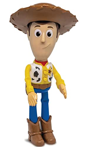 Meu Amigo Woody