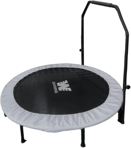 BARWING(o[EBO) Vfo g| 8{r É ω׏d150kg g| qp lp _CGbg NbV g| ܂肽 傫܂ 肽 g| Jo[ g[jO (7. BIGf