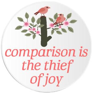 Pack of 4-3 Inch Stickers - Comparison is The Thief