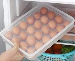Heavan ABS Plastic Kitchen Refrigerator 24 Grid Egg Container Storage Box/Holder/Case Food Crisper Organizer (Small,Color : Random) 1