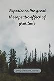 daily gratitude journal: experience the therapeutic effect of gratitude in 10 minutes daily: when people focus on the idea of positive appreciation, ... narcotic substances relieving extreme pain.