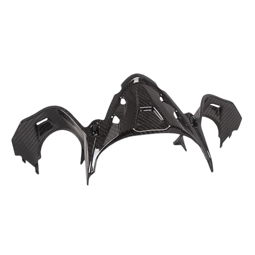 Capot tête moto en carbone Ducati 1199 pour remplacer le plastique usé