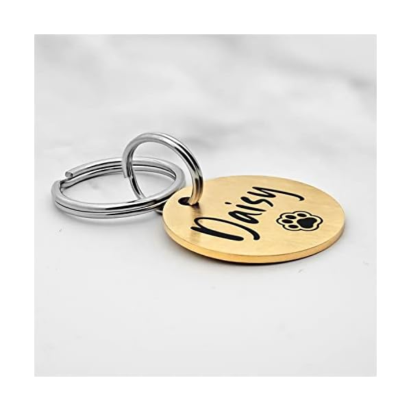 KEVSUN Stainless Steel Engraved Dog Name Tags, Two Sided Personalized ID Tag, Customizable Dog and cat Tags (Circle) KEVSUN Stainless Steel Engraved Dog Name Tags, Two Sided Personalized ID Tag, Customizable Dog and cat Tags (Circle)